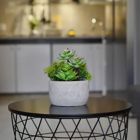 Апартаменты El Gato