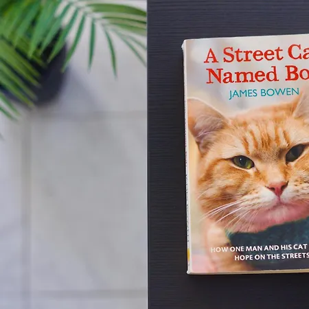 El Gato * Коста-дель-Силенцио